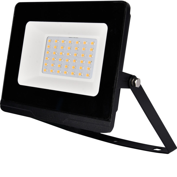 OMEGA30 LED FLOODLIGHT 30W 5500K IP65+EM                                                                                                                                                                                                                       